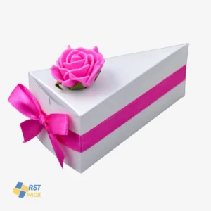 جعبه بهداشتی پیتزا